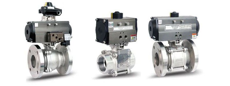 2 Piece Design 'OKM' Ball Valve Manufacturer, Suppliers and Stockists in India