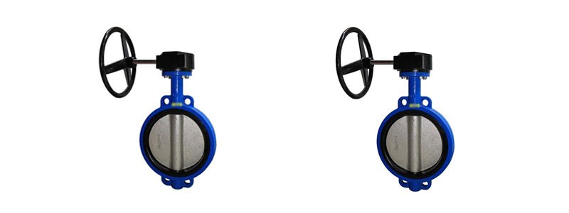 Resilient Seated Rubber Lined Wafer Type Butterfly Valve Manufacturer, Supplier, and Stockist in India