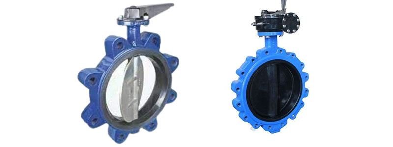 Resilient Seated Seated Rubber Lined Wafer Type Lug Type Butterfly Valve Manufacturer, Supplier, and Stockist in India