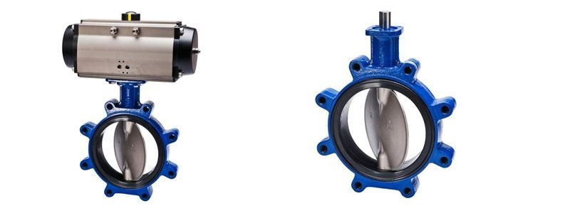 Resilient Seated Rubber Lined Wafer Type Lug Type Butterfly Valve Manufacturer, Suppliers and Stockists in India