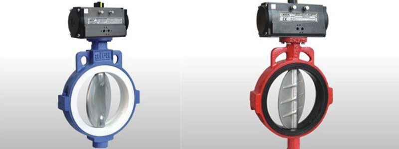 Teflon Sleeve Butterfly Valve Replaceable Muffler Manufacturer, Suppliers and Stockists in India