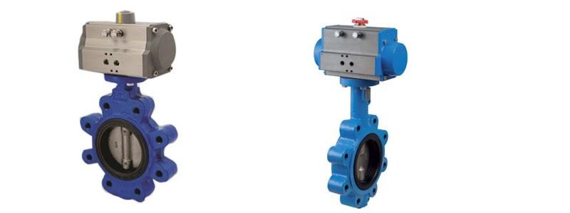 Triple Eccentric Offset Disc Lug Type Butterfly Valve Manufacturer, Suppliers and Stockists in India