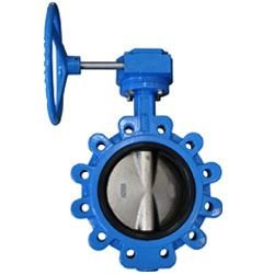 Resilient Seated Rubber Lined Wafer Type Lug Type Butterfly Valve Manufacturer